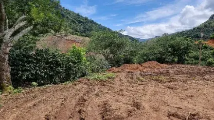 2021 — Purchased the coffee finca in San Andrés de León Cortés.