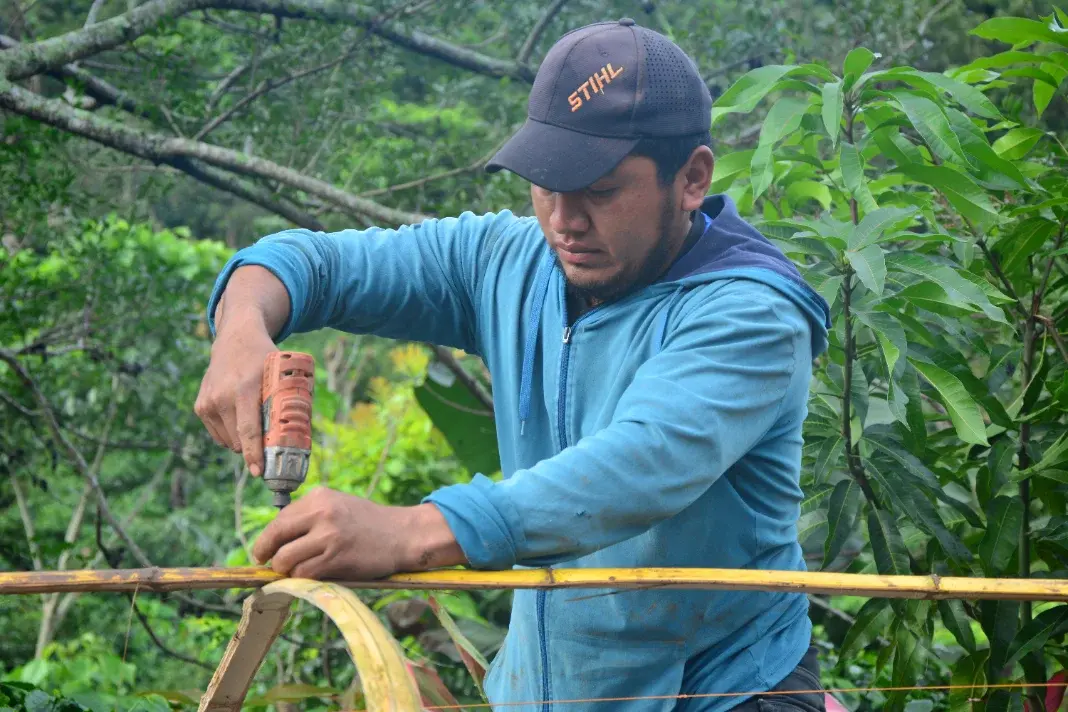 Volunteer work on the finca